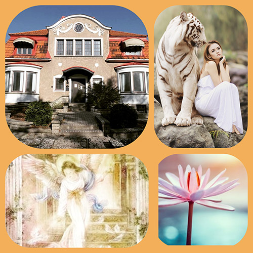 PhotoCollage_20211223_102909129-(1)